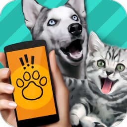 pettranslatorapp