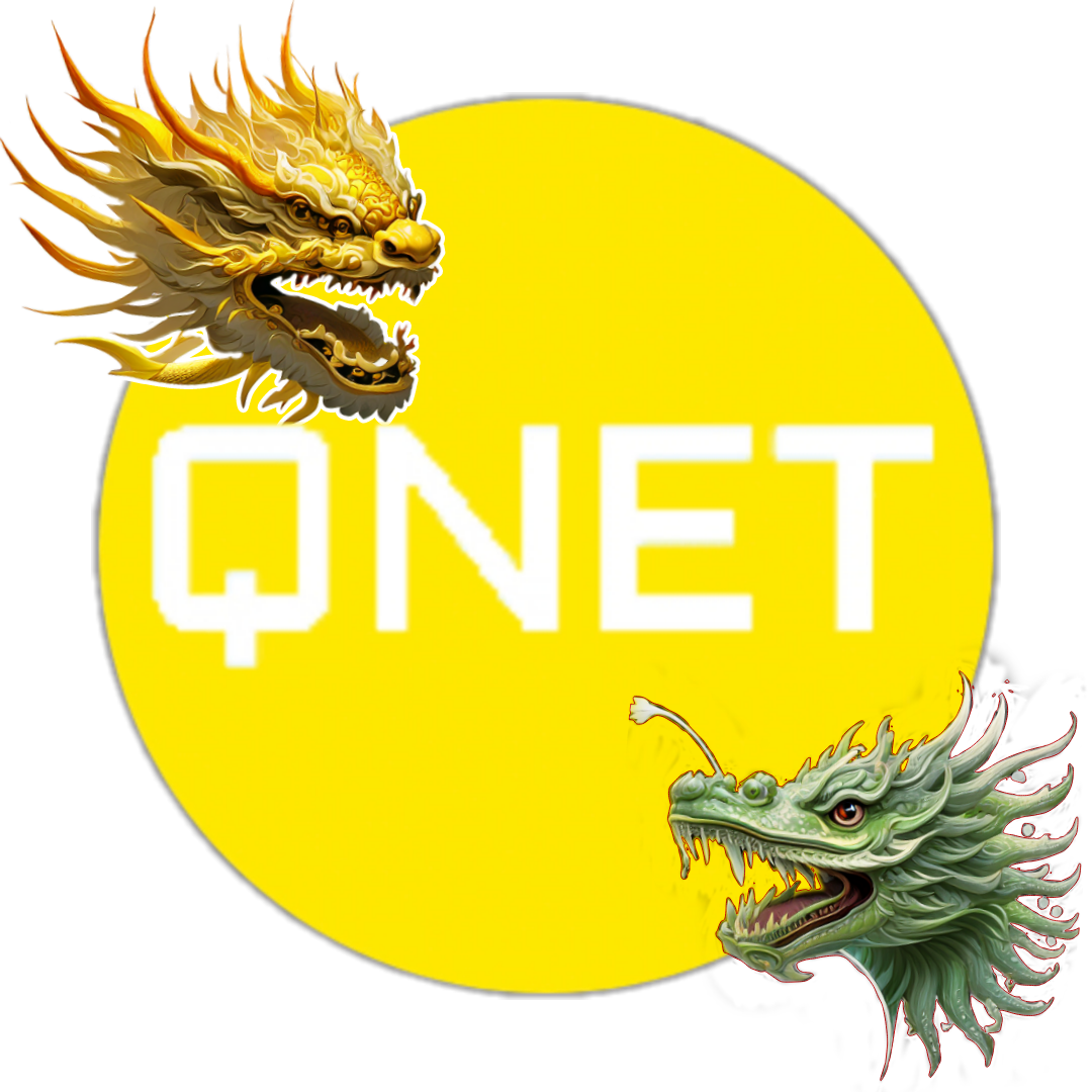 金龙qnet弱网下载新版本 0.4.5 安卓版