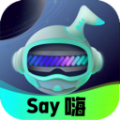 Say嗨元宇宙免費版