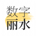 數(shù)字麗水