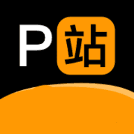 p站proburn软件