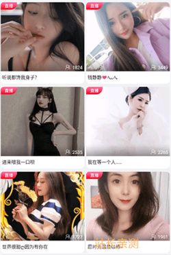 红高粱app