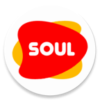 靈魂瀏覽器最新手機國際版下載(soul browser)