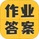 小學作業(yè)答案大全