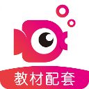 鯉魚輔導(dǎo)app