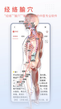 3Dbody解剖官方正版