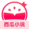 西瓜小說app最新版