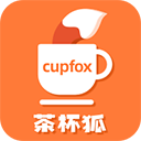 cupfox茶杯狐