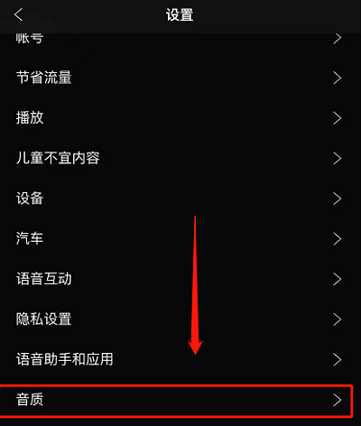 声破天app10