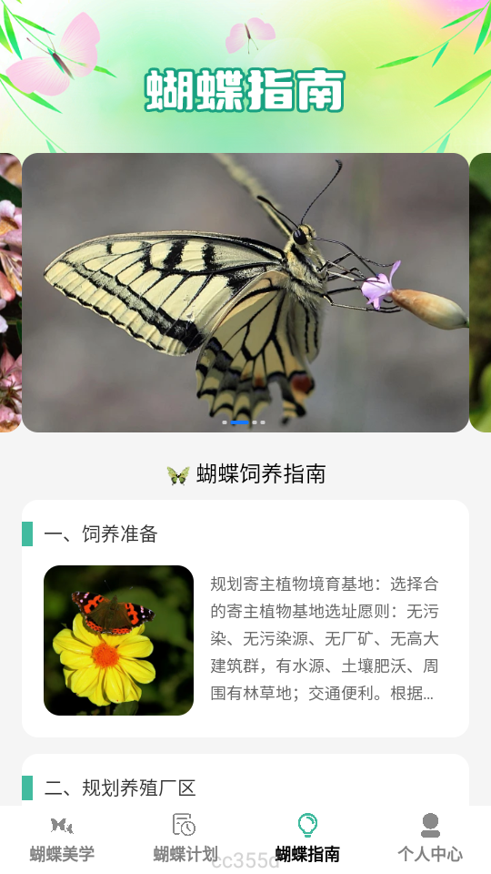蝴蝶乐刷安卓版